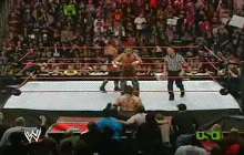Shawn Michaels