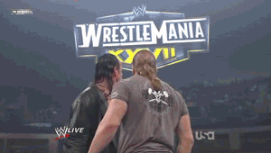 Undertaker & HHH