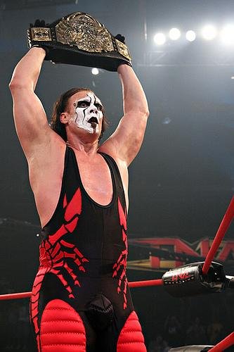 Sting with title belt