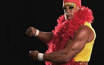 Hollywood Hulk Hogan