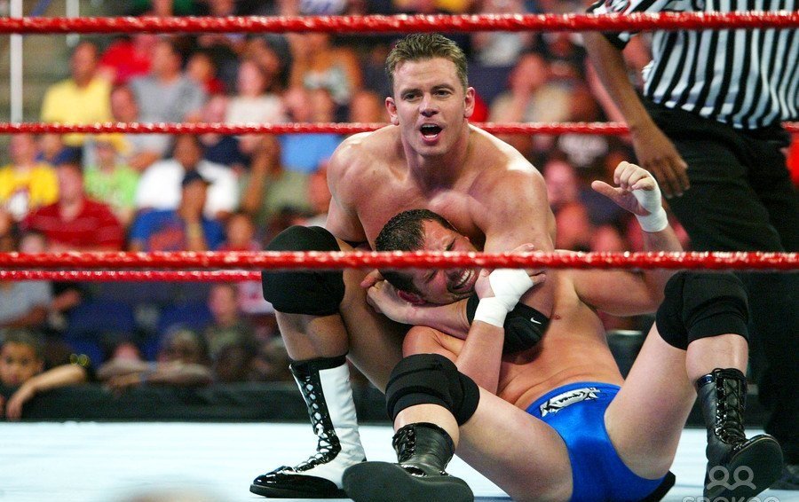 wwe ring fighting